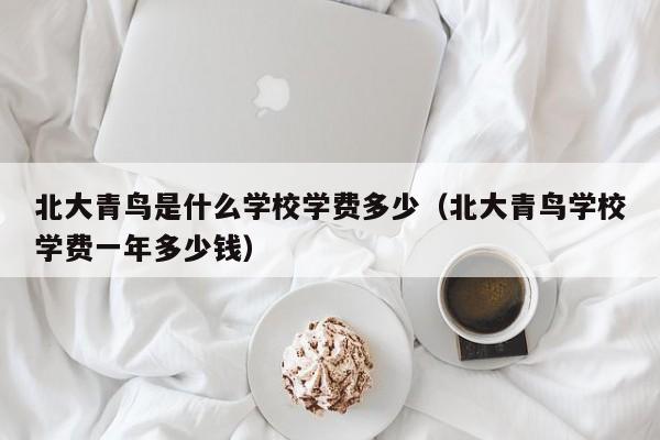 北大青鸟是什么学校学费多少（北大青鸟学校学费一年多少钱）